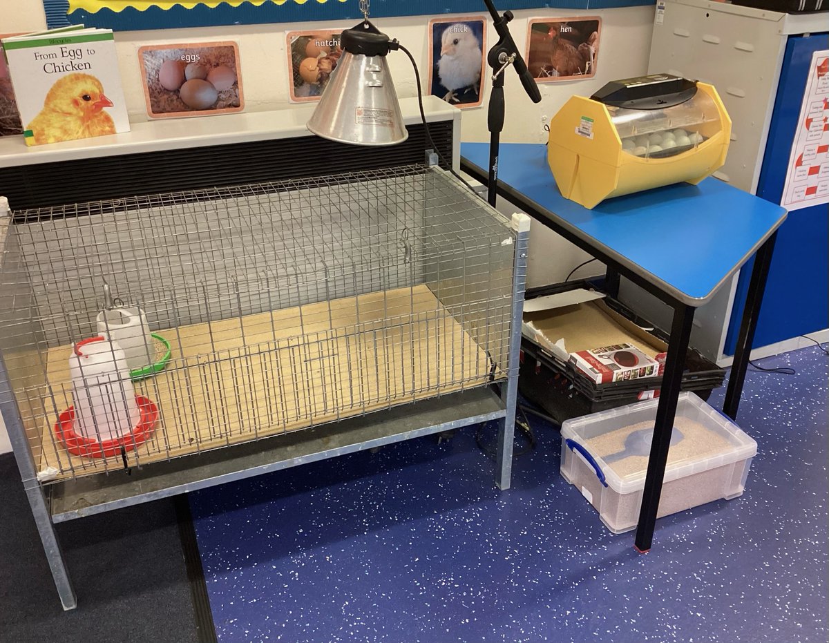 StThomasCofEAcademy tweet media