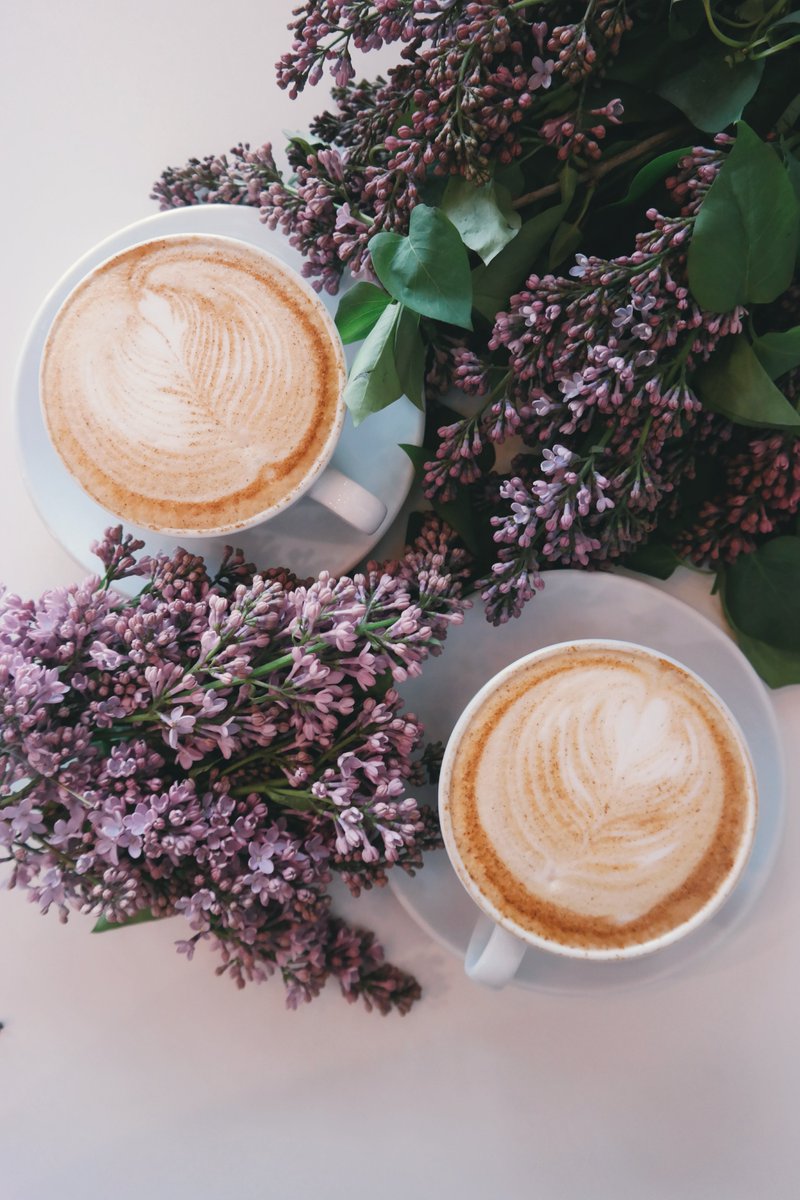 Meeple_4_People's tweet photo. Spring is in the Air! Try out the beautiful board game "Blossoms" with our new Lavender latte!
#funandtasty #springishere #finally #blossoms #lavenderlatte #inspired #delicious #musttry #m4p #meeple4people #latte https://t.co/Fi0SrvA9wf