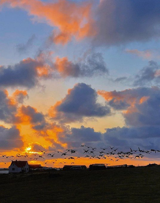 Interesting life, half of it is mountains, rivers, lakes and seas 🏕