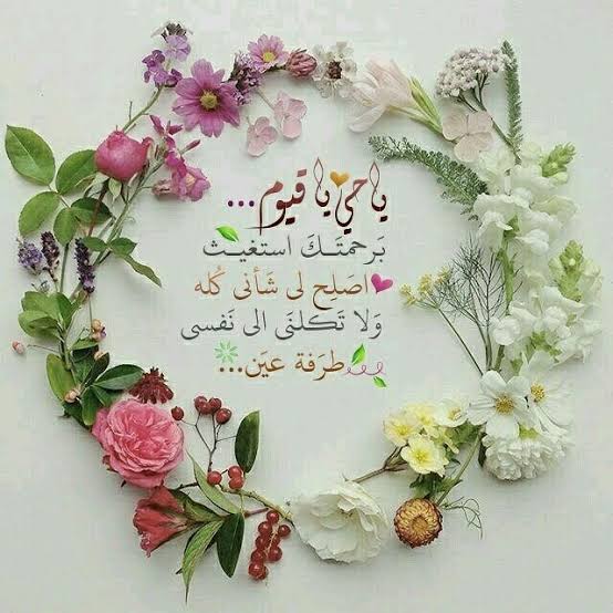 IPS_TEAM2011's tweet image. 