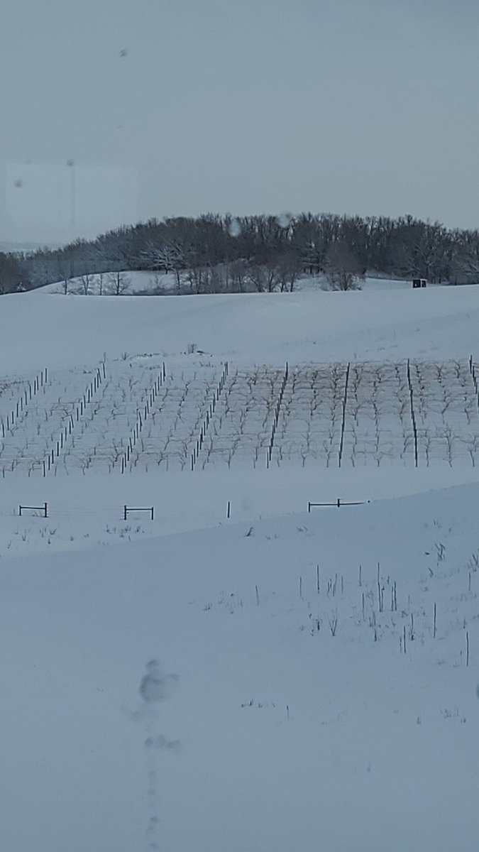 Emily Jay tweet media