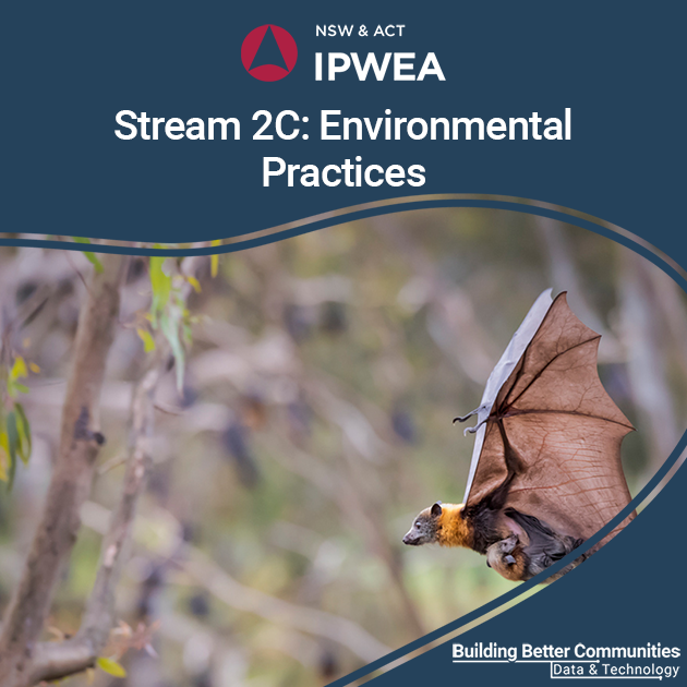 ipweansw tweet media