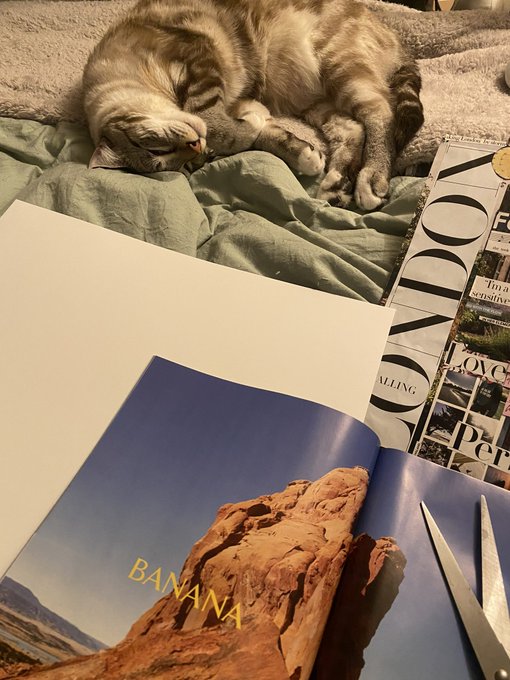 What does it mean when a girl sends you this? I NEED ANSWERS https://t.co/Sbjshpxww0<a href="/tag/cosplay"class="tags"><span>#cosplay</span></a><a href="/tag/halloween"class="tags"><span>#halloween</span></a><a href="/tag/harleyquinn"class="tags"><span>#harleyquinn</span></a><a href="/tag/onlyfans"class="tags"><span>#onlyfans</span></a><a href="/tag/cosplayergirl"class="tags"><span>#cosplayergirl</span></a>