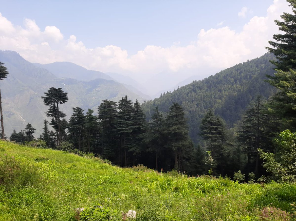 FEWDKPGovt's tweet photo. #Malkandi #NationalPark, yesterday after snow melted in the region.
#KPForest
#KPWildlife
#KPClimateChange https://t.co/dtRUO7fUrR