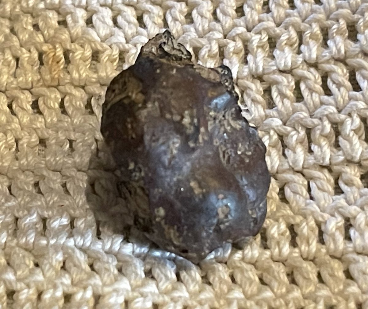 FossilsPossible's tweet photo. A #newDiscovery #meteorite #magnetic #rare #spacerocks in our #ImpossibleFossil Collection! Check it out!!! @StartupPro @elonmusk #astro #Space https://t.co/JvnSa8h0J6