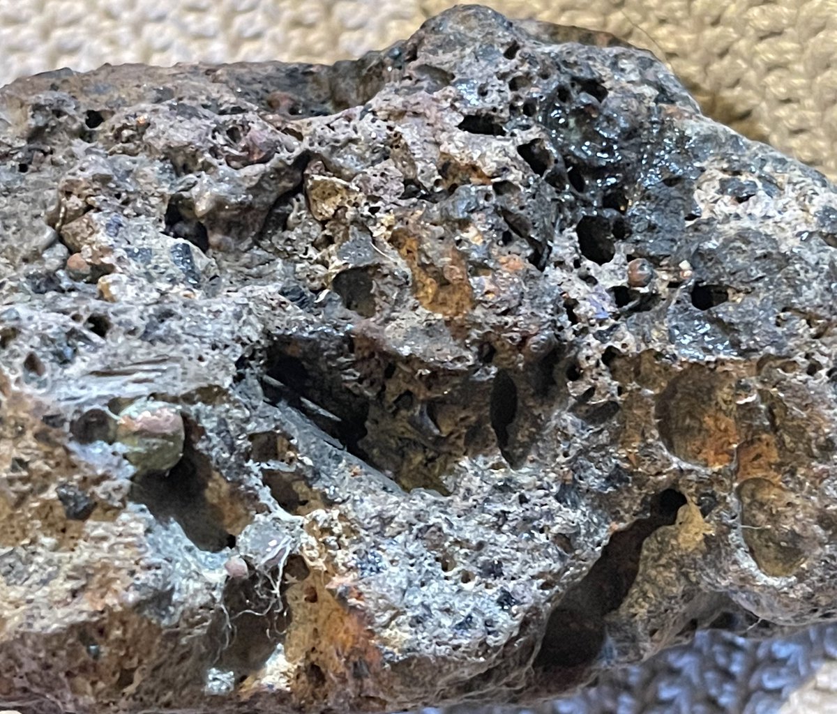 FossilsPossible's tweet photo. A #newDiscovery #meteorite #magnetic #rare #spacerocks in our #ImpossibleFossil Collection! Check it out!!! @StartupPro @elonmusk #astro #Space https://t.co/JvnSa8h0J6