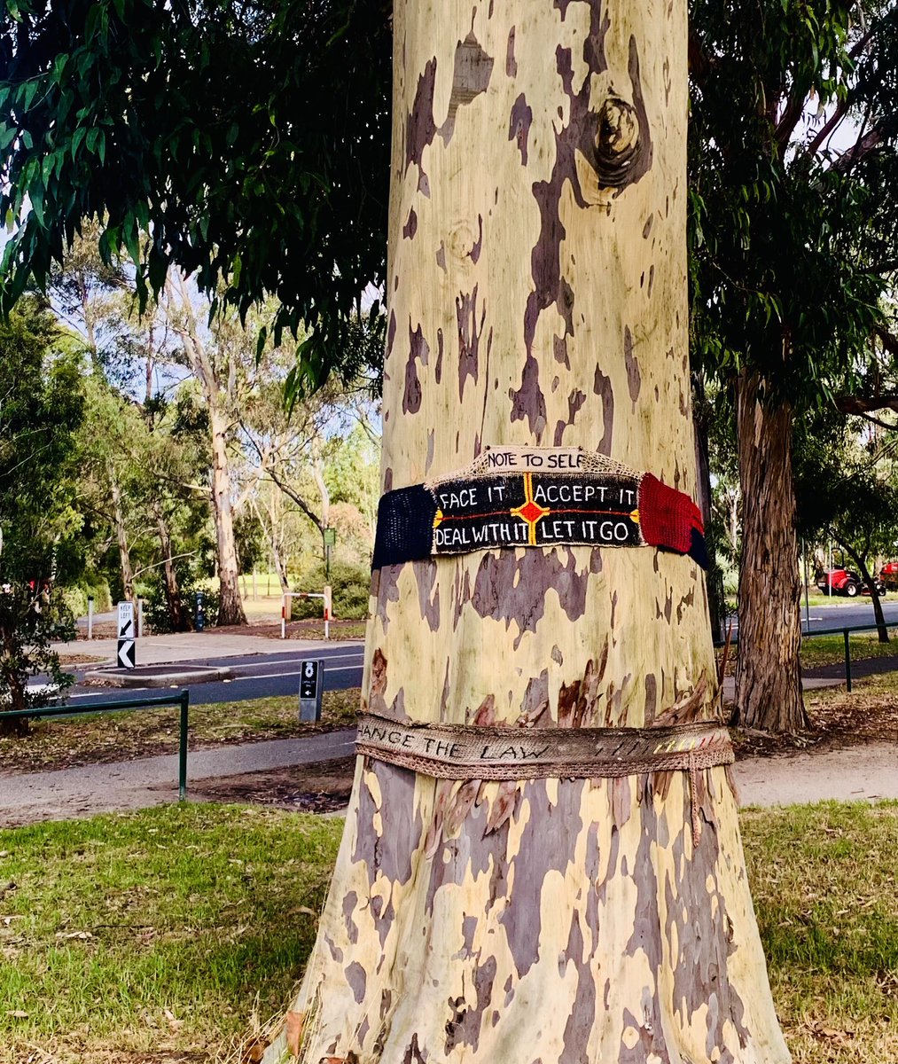 ninakillham's tweet photo. Say hello to my new guru. #zentree #savethetrees https://t.co/JKr1gd2XBS