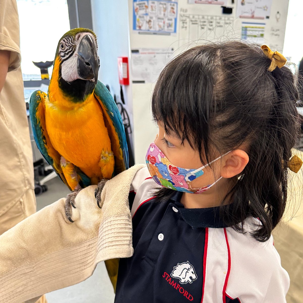 Stamford American School Hong Kong tweet media