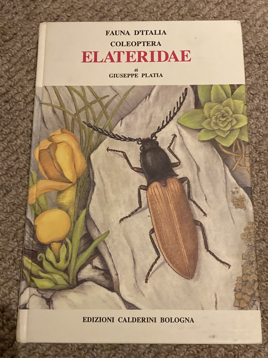 An exciting book I purchased back in November finally arrived in the mail! #elateridae