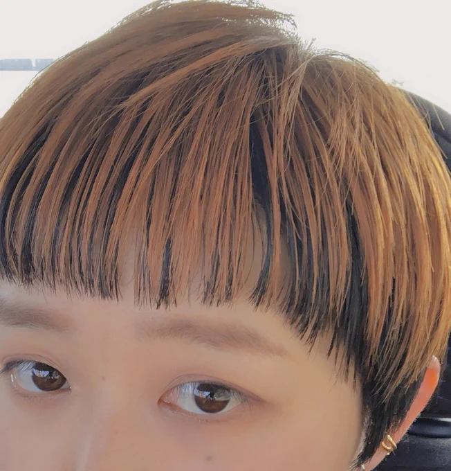ちなみにセットするとこうなる 