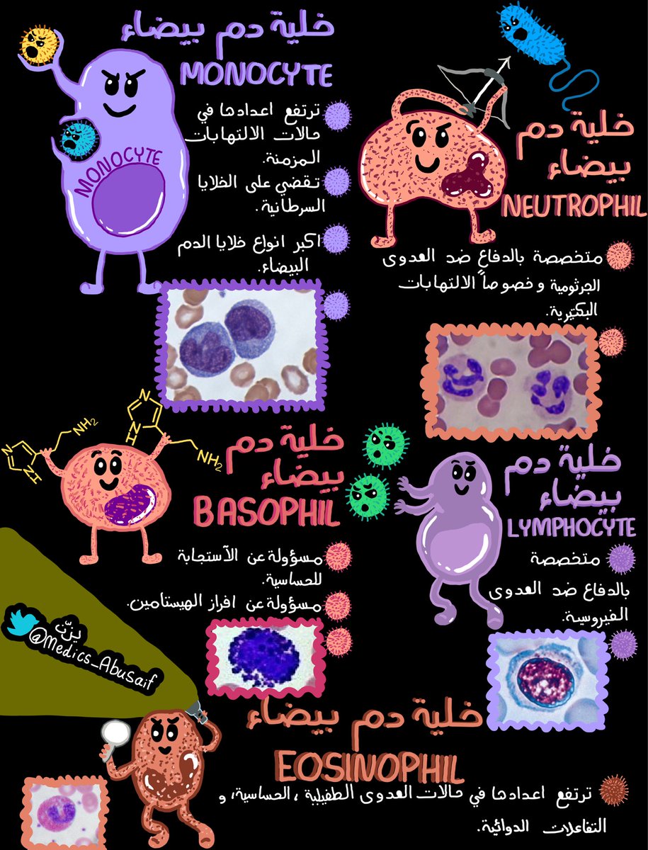 medics_AbuSaif's tweet photo. ملخص بسيط عن خلايا الجهاز المناعي بالعربية https://t.co/uOr8y8X18E