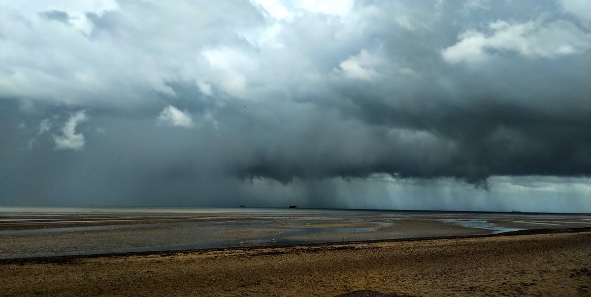 RydeAbide's tweet photo. Morning Dampers #IsleLoveWight #Delight https://t.co/2qHGm5U1wZ