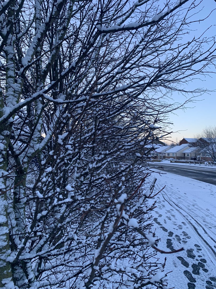 zeta_hill's tweet image. A little bit of snow this morning for the #morningcommute 
#notspringyet #NorthEastLiving 
I love our new home in the North ❄️😁