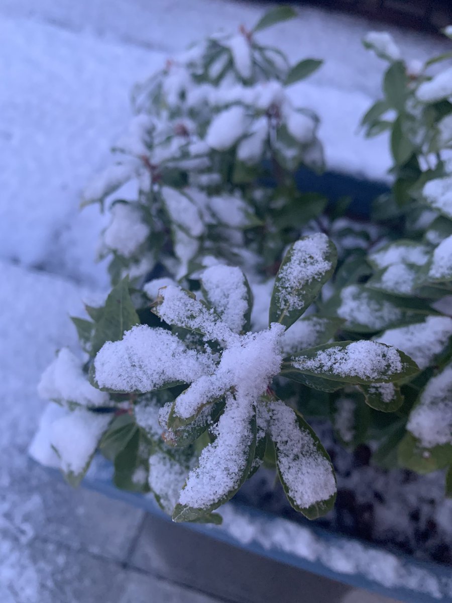 zeta_hill's tweet image. A little bit of snow this morning for the #morningcommute 
#notspringyet #NorthEastLiving 
I love our new home in the North ❄️😁