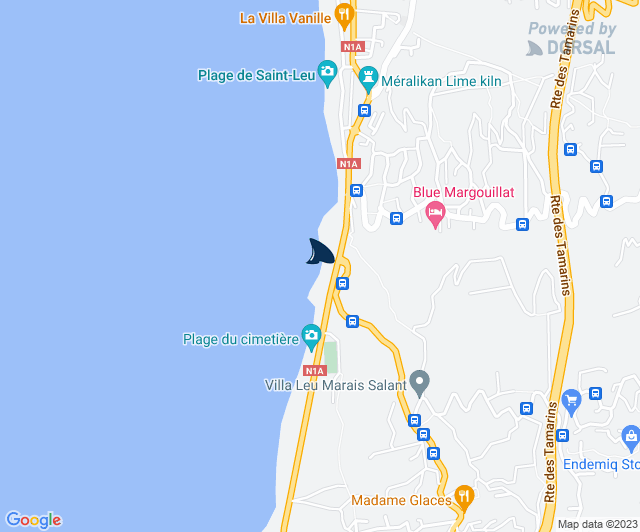 Centre Sécurité Requin tweet media