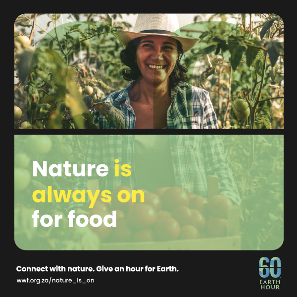 WWFSouthAfrica's tweet photo. Nature is remarkable - it provides all the food we need to survive &amp; thrive &amp; its “pantry” is always open.🍎Even when the lights are off, nature powers on, producing food for our plates. 🍽️ #NatureIsAlwaysOn
We need to take care of nature so it can keep restocking the pantry. https://t.co/7aaBGEBVBu