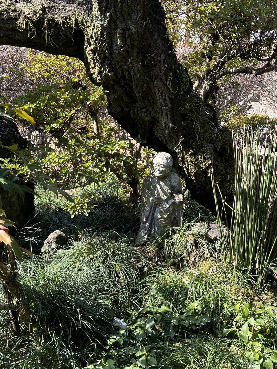 今日は川越の成田山と喜多院🙏
良い天気だったなぁ