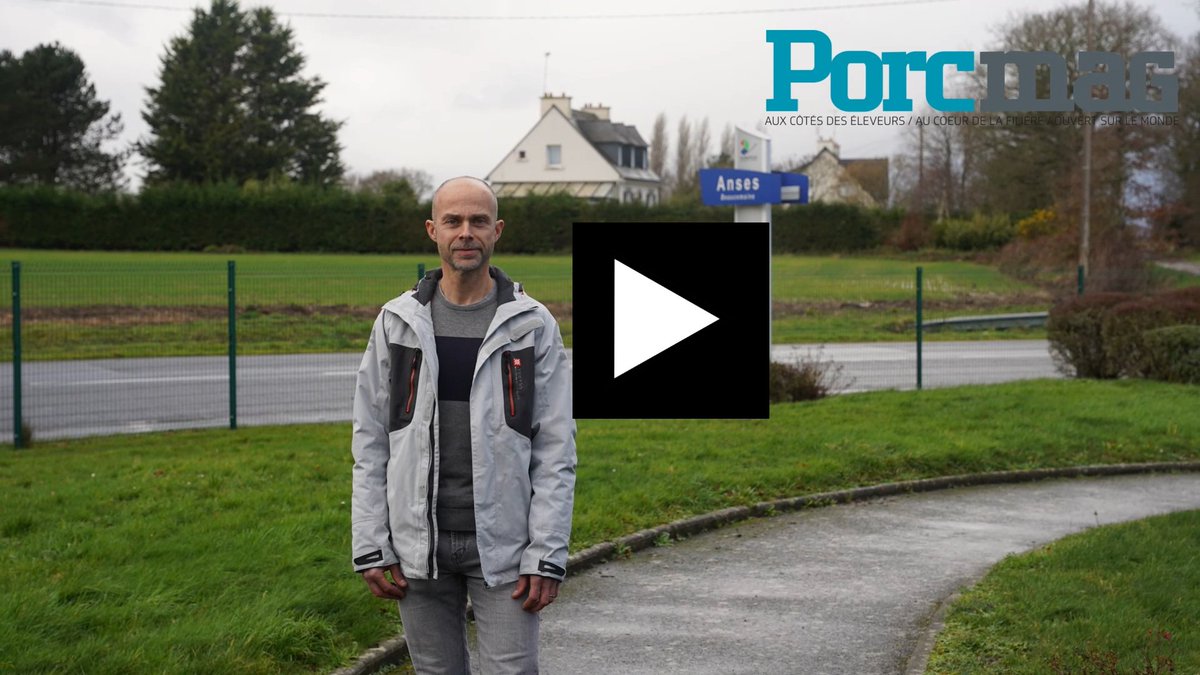 📹: Un espoir de vaccin contre la peste porcine africaine ?
porcmag.com/technique/sant…