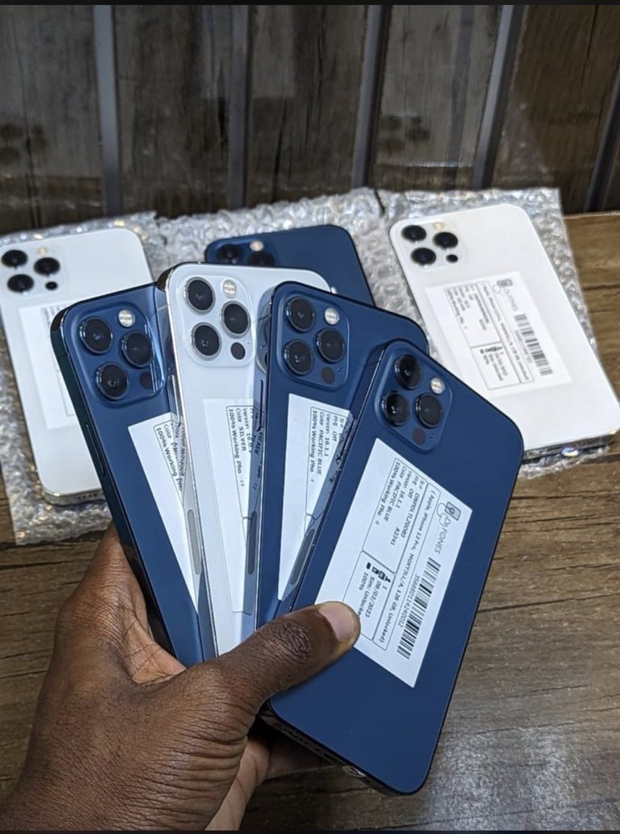 TRIGERZ_'s tweet image. 🇺🇸iPhone 12 Pro 128GB(N440,000) & 256GB(470,000).Kindly send a DM or visit us at No 3 Idowu Lane Copia Plaza Computer Village Ikeja.#flutterwave #irev #apologize #Yemi #Scripted #bbtitans  #pant #bashiru #latvia #thedss #layi #yorubas #messi #burna #Ambode #Benin #sporty #bashiru