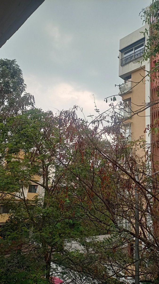 patilrucha05's tweet photo. Kuch cheeze bevakt bhi achhi lagti hai.....!!!
#bemosambarish⛈️ https://t.co/CFcMjVuLUE