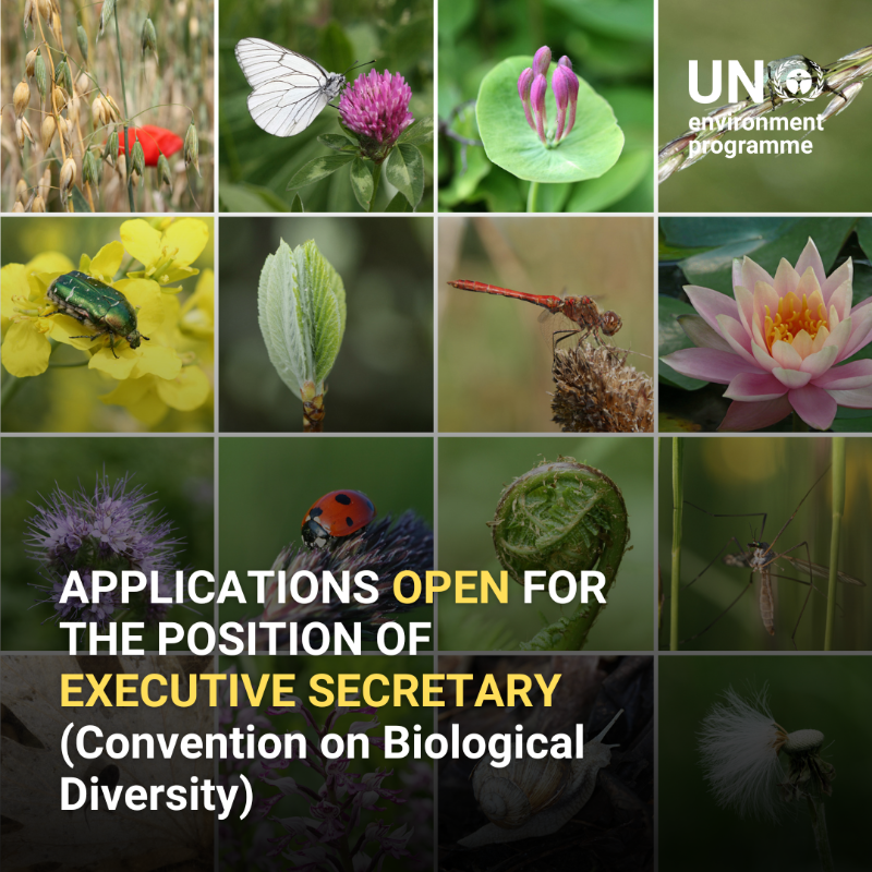 UNEP's tweet photo. Applications are now open for the position of Executive Secretary of the @UNBiodiversity.

This position is based in Montreal, Canada and the deadline is 24 March 2023.