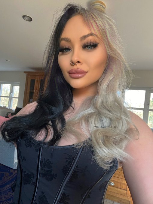 TW Pornstars - ☠️🧛‍♀️ Willow Sky |. Pictures and videos from Twitter. Page 2