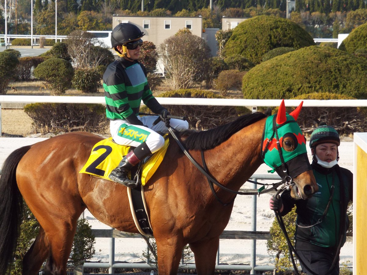 イズジョードリームさん、長谷部くんおめでとうございます💚🎉 