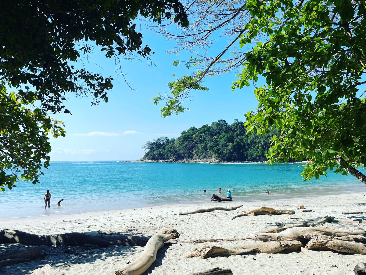 PeaPodExplorer's tweet image. Everyone dreams of a holiday of a lifetime, and that’s exactly what’s we have done! Follow our page and website for our journeys throughout the beautiful country of Costa Rica! Full of nature and wildlife!