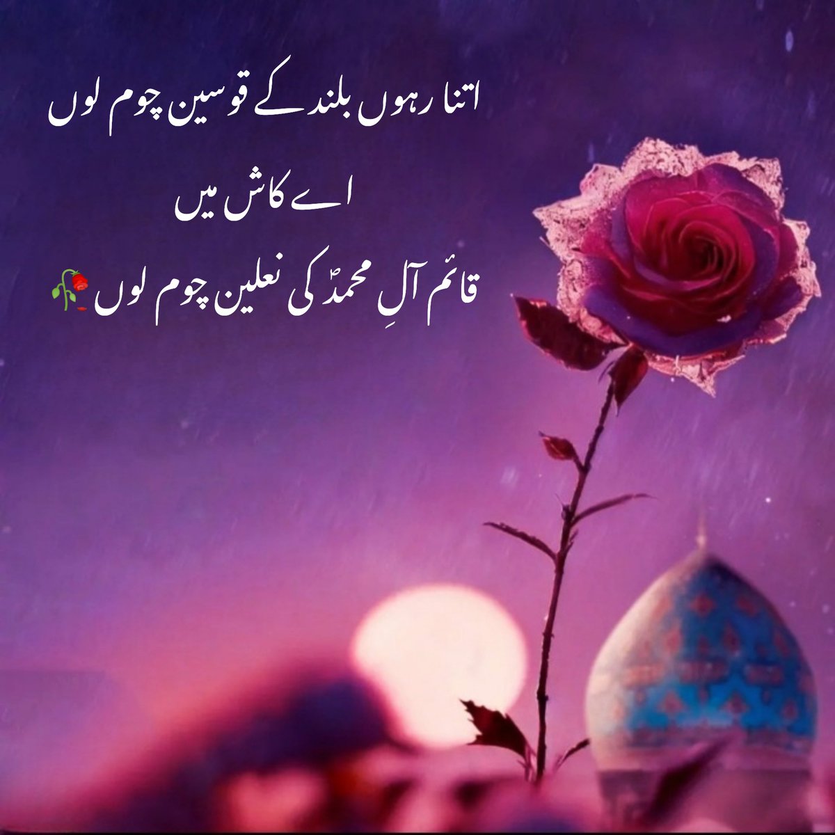 KarbalaWrites's tweet photo. یا شہنشاہِ زمانہ عج 💚

#ImamMahdi 
#امام_زمان https://t.co/0YDknAJrJW