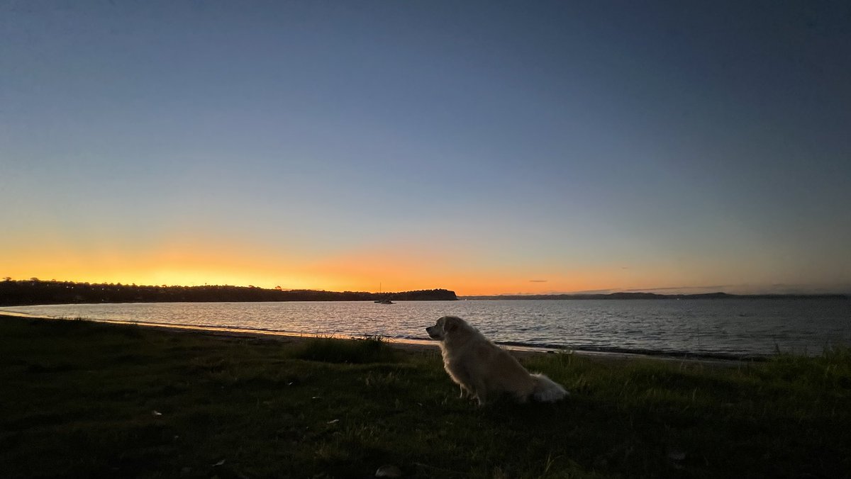 #Bigmanlybeach #hibiscuscoast #NewZealand #Tuesdayevening #daysend #overandout 👌😎🇳🇿❤️