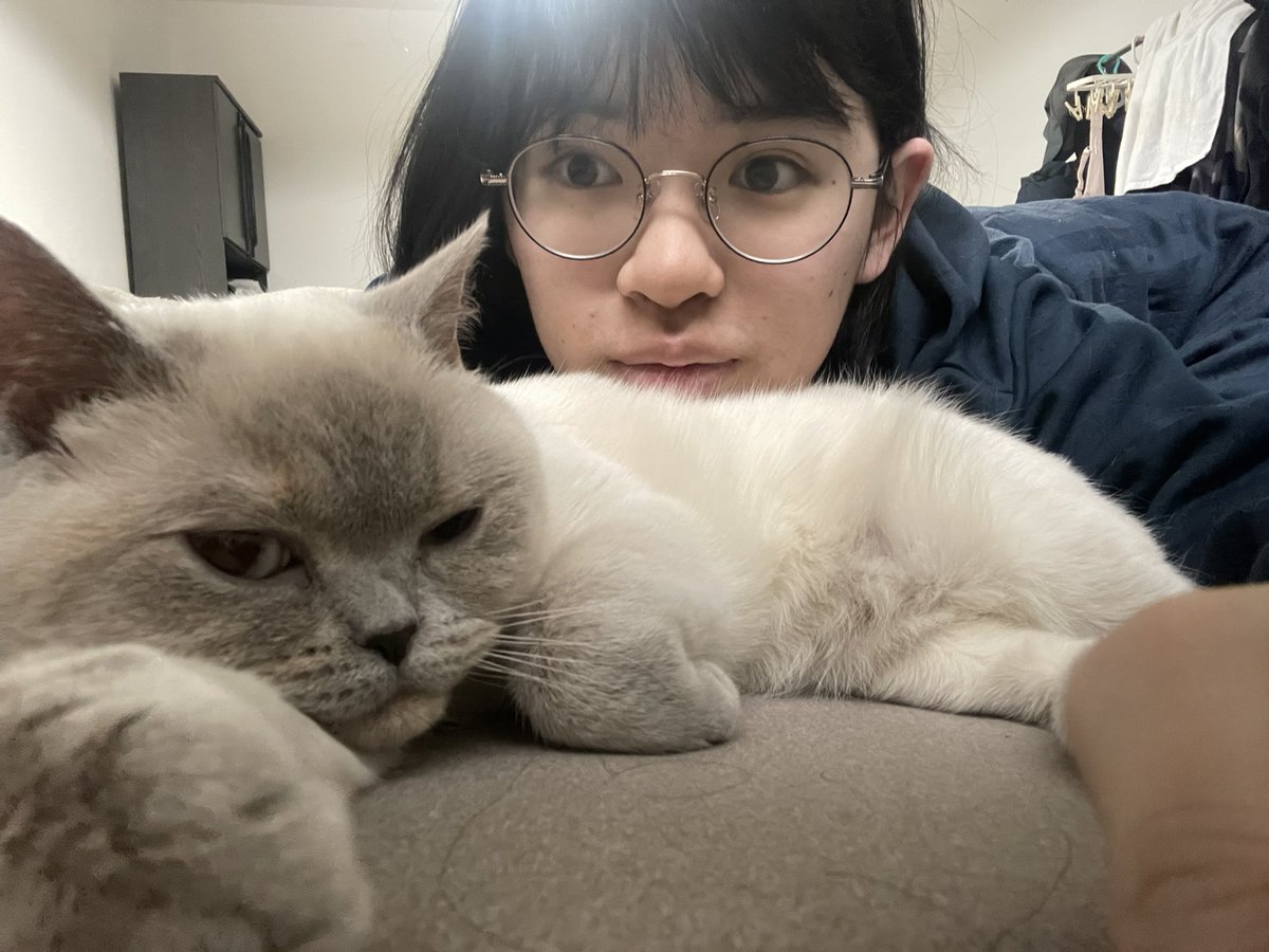 chaaaaaaa_chan's tweet image. ブサイク猫×ブサイク💃

騒がしくなってきたぞー！😆
3月ぶち抜こう😆

#Codebegin