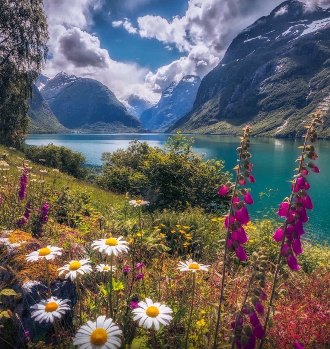 вертикальное фото пейзажи