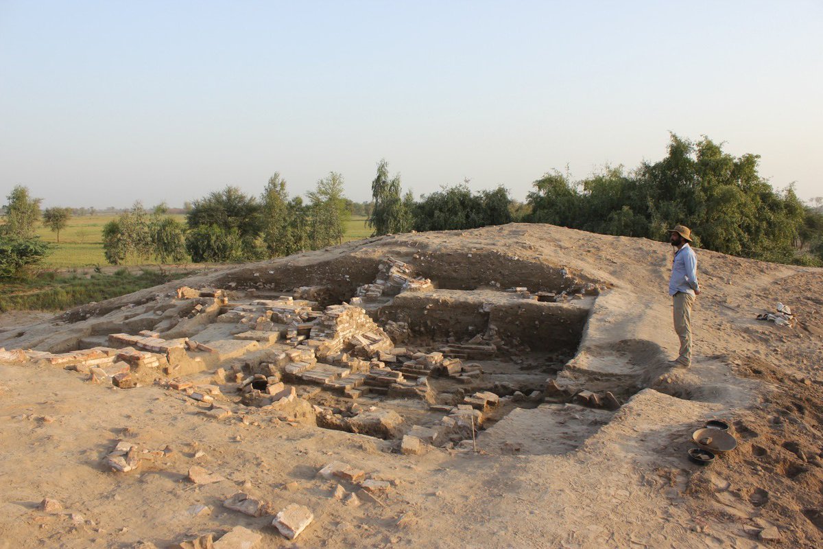 Excavation season 2023
French Archaeological Mission of Indus Basin 
#Mafbi #archeomonde #archaeologylife