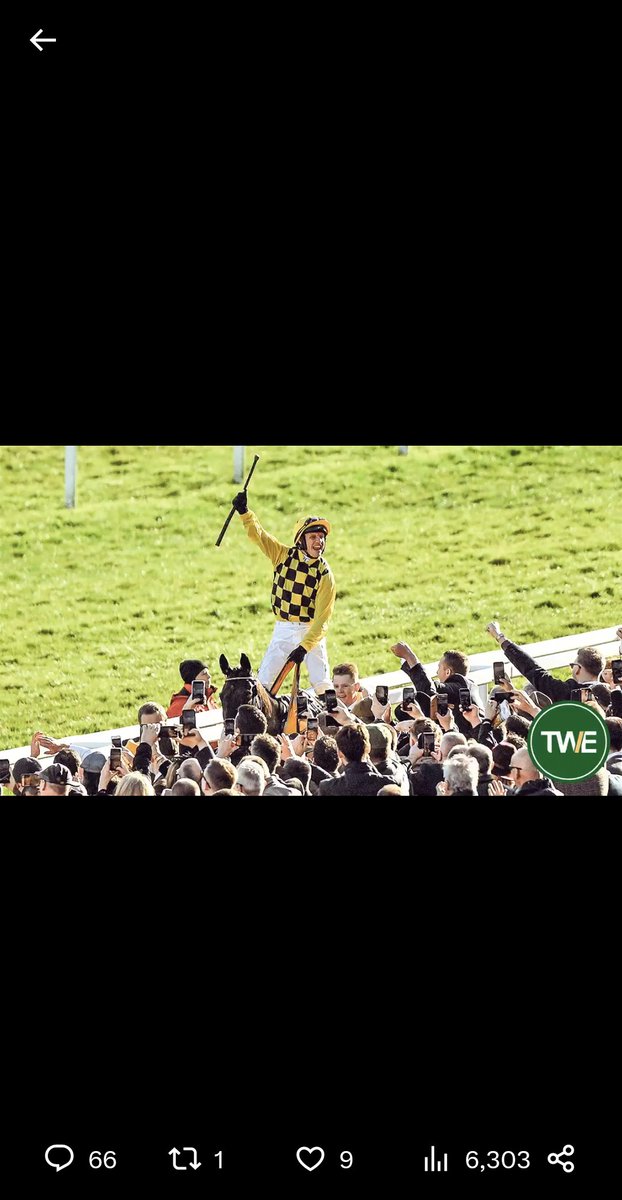 BenFudge96's tweet photo. @TWEnclosure https://t.co/RRAvcC42Ae