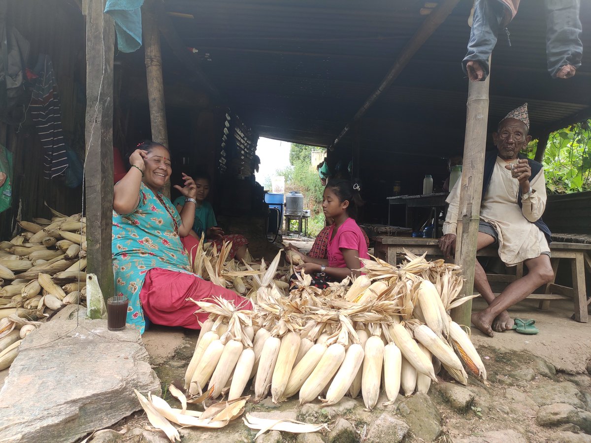 NituGhaley's tweet photo. Chiya taste was strange :)
#VillageLife #Kavre #Panchkhal https://t.co/9TEH06QQ3k
