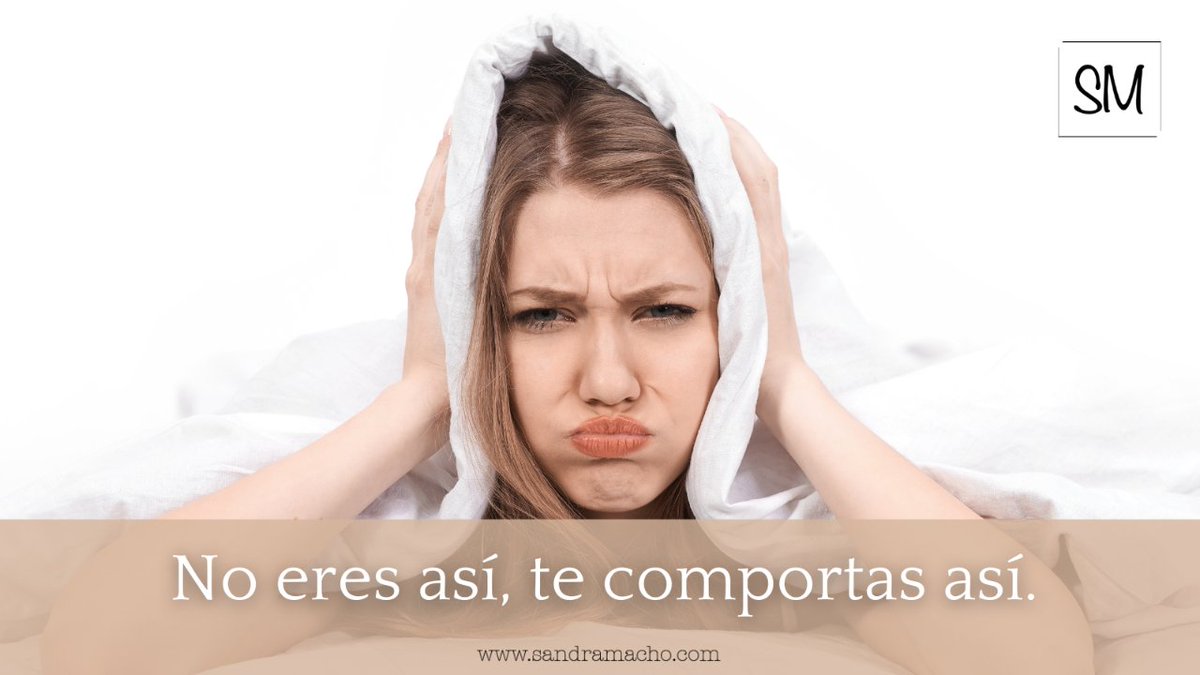 Sandra Macho tweet media