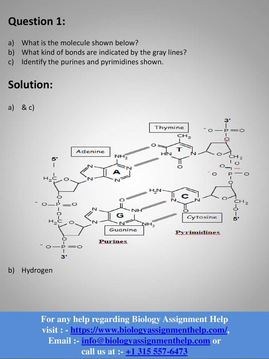 biologyassgn's tweet image. Biology Assignment Help
Get your Biology Assignment Help from the best experts in their fields. You can't simply ignore them. Visit: bit.ly/3BzLc4r and get
👉 24x7 Helpline
👉 Unlimited Revision
👉 On-time Delivery
#biologyassignmenthelp #assignment #education