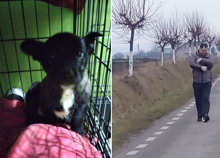 RECHERCHE  PARRAINAGE POUR une nouvelle petite oubliée : Capucine 🐕🌸
Paul, le gendre de Lumi, l'a trouvé sur le bord de la route, toute seule sans maman 🥲
👉facebook.com/LesOubliesDeRo…