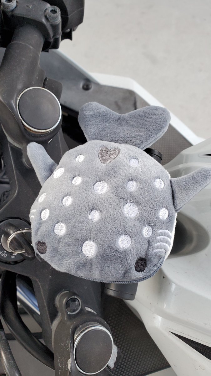 おるけろさんから誕生日にもらったじんべいポーチ?何かに使いたいなーって思ってたけどバイクの鍵入れにいいかもしれない。鍵そのままジャラジャラさせてるとステム傷だらけになるけど、これなら安心…? 