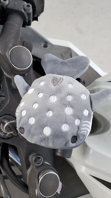 おるけろさんから誕生日にもらったじんべいポーチ?何かに使いたいなーって思ってたけどバイクの鍵入れにいいかもしれない。鍵そのままジャラジャラさせてるとステム傷だらけになるけど、これなら安心…? 