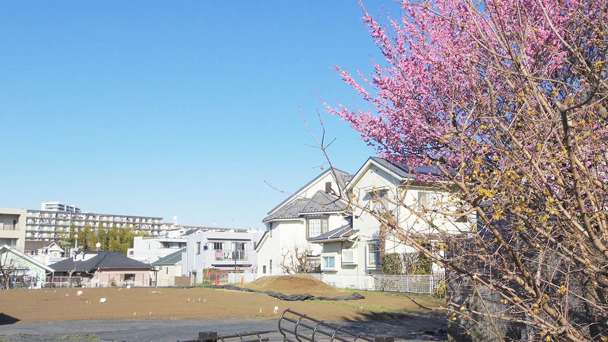 「知り合いのarkwさんというおばあちゃんがここで畑を借りてて、貴房もよく手伝いに」|貴房のイラスト