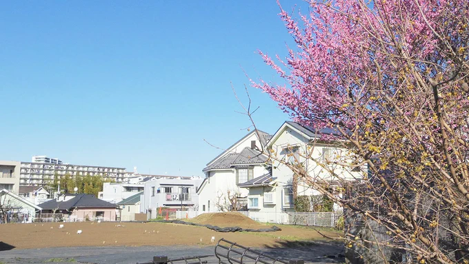 知り合いのarkwさんというおばあちゃんがここで畑を借りてて、貴房もよく手伝いに行ってました。arkwさんは去年の11月に亡くなってしまいまして、畑のarkwさんの区画がそのままになってたんですが、季節が巡って今は春の陽射しに照らされてます#宮前区 
