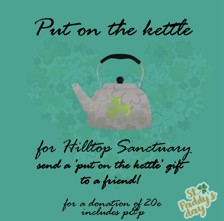 Catríona Lowry tweet media