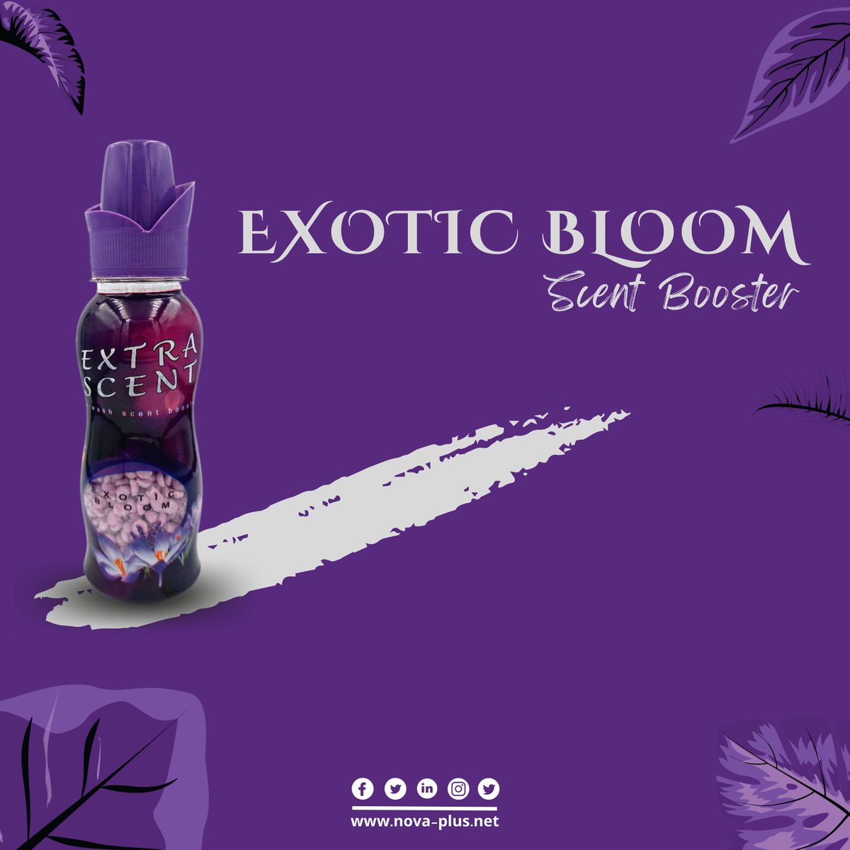 Nova Plus International Trading

Product: Extra Scent Exotic Bloom

Extra Scent in-wash scent booster: More of the scent you love

 #scentbooster #scentboosters #scentboosterbeads #scent #scentoftheday #laundry #laundryroom #laundrydetergent #turkey #saudiarabia