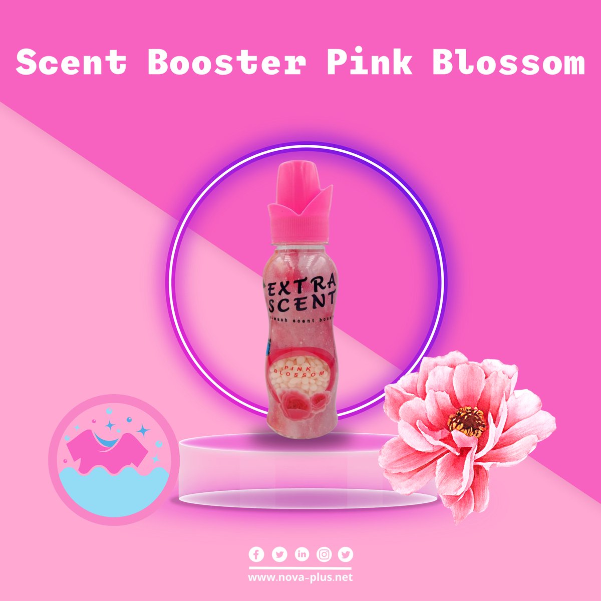 Nova Plus International Trading

Product: Scent Booster Pink Blossom

Extra Scent in-wash scent booster beads are available in different scents and sizes

 #pinkblossom #pinkblossoms #scentbooster #scentboosters #trading #TradingTips