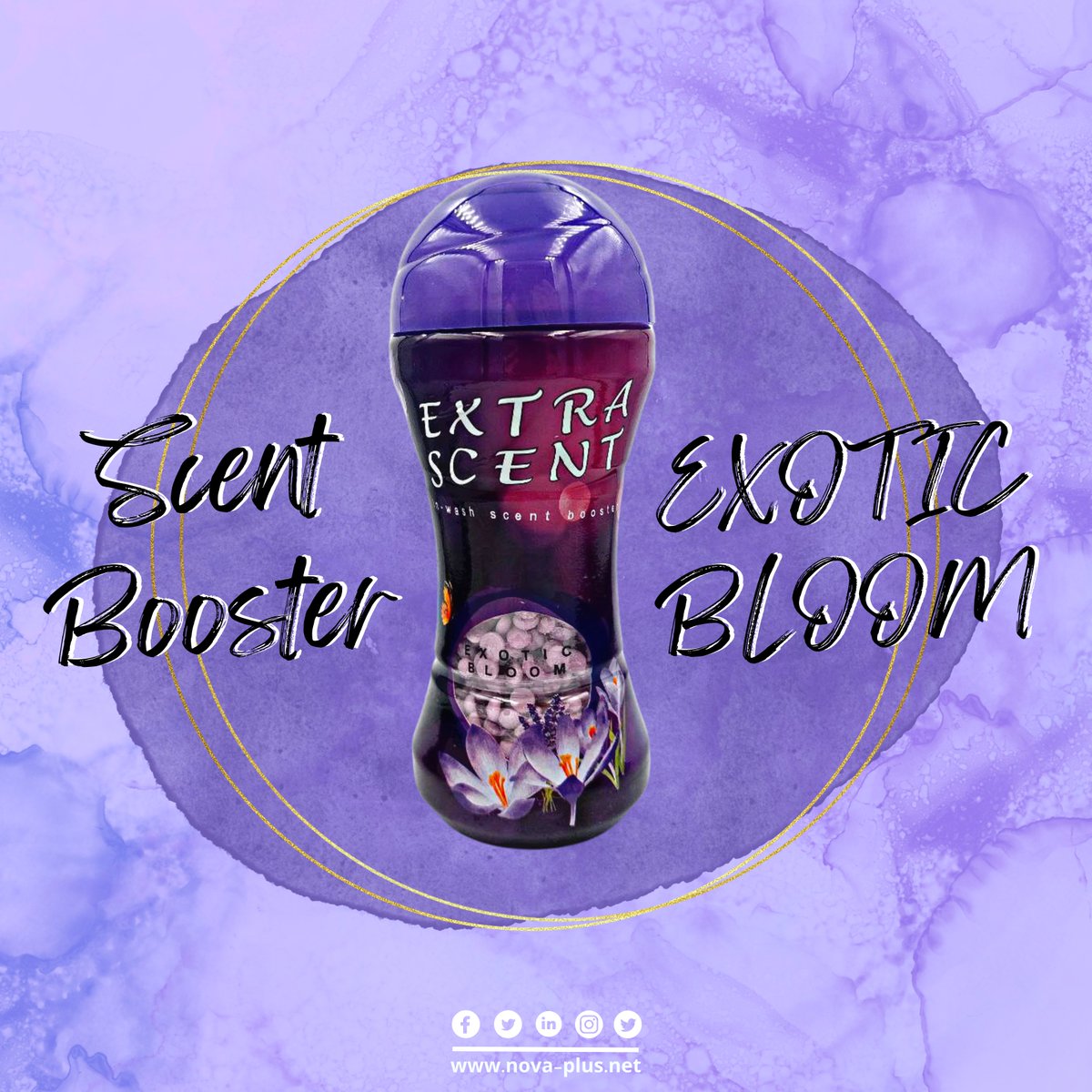 novaplustrading's tweet photo. Nova Plus International Trading

Product: Scent Booster Exotic Bloom

The best granules perfumed clothes you can get

 #exoticbloom #exoticblooms #scentbooster #scentboosters #türkey #turkey #exportproduct #exportproducts https://t.co/gQZWZSYO3o