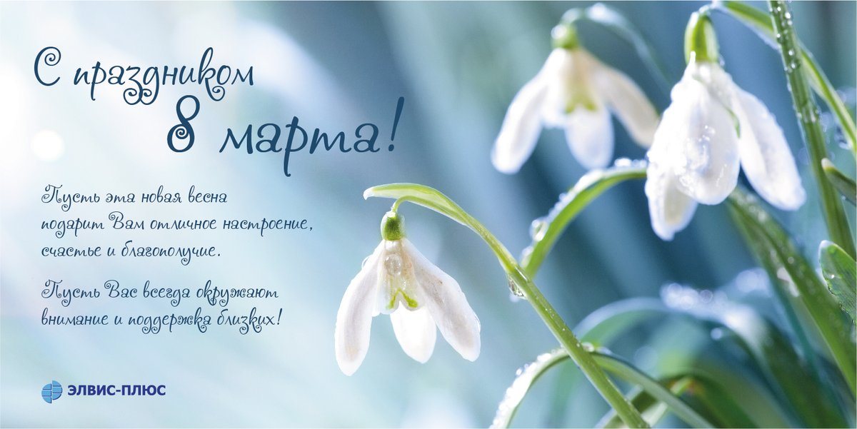 ЭЛВИС-ПЛЮС (@elvis_plus) on Twitter photo 