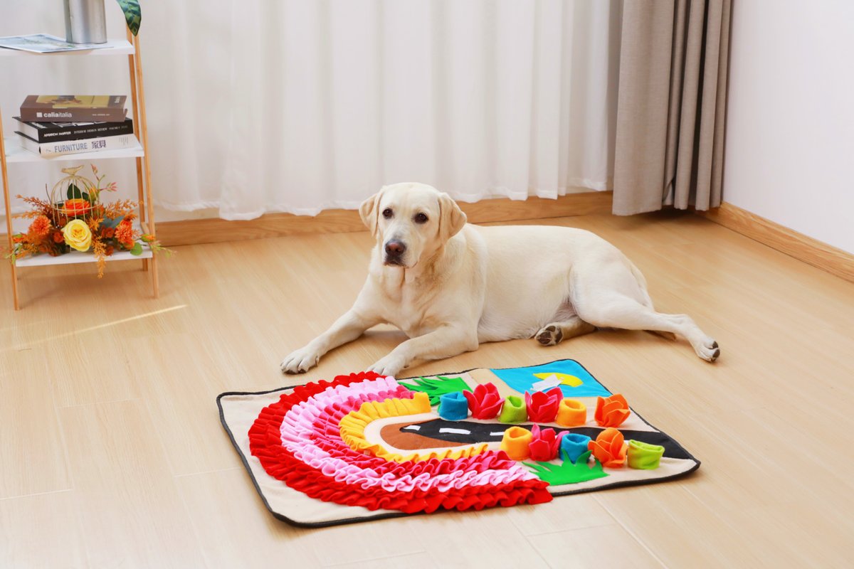 RENAPET2's tweet image. A snuffle mat makes his day ✨✨

#snufflemat #dogplay #doglover #petsupplies #dogproducts