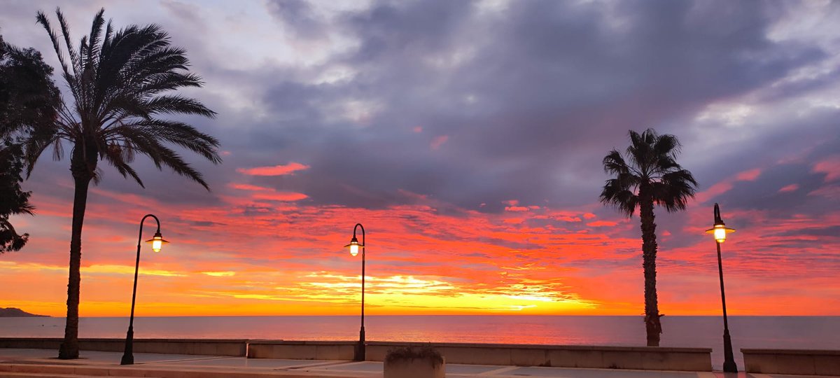 beni_paraiso's tweet photo. Qué privilegio poder ver la magia de la composición de este cuadro en tiempo real. 😍
Buenos días ☀
.
#BenicàssimParaíso
#Amanecer
#TeacercamosaBenicàssim
#Benicàssim
#Soybenilover
#BdeBenicàssim https://t.co/HwEqnndlQt