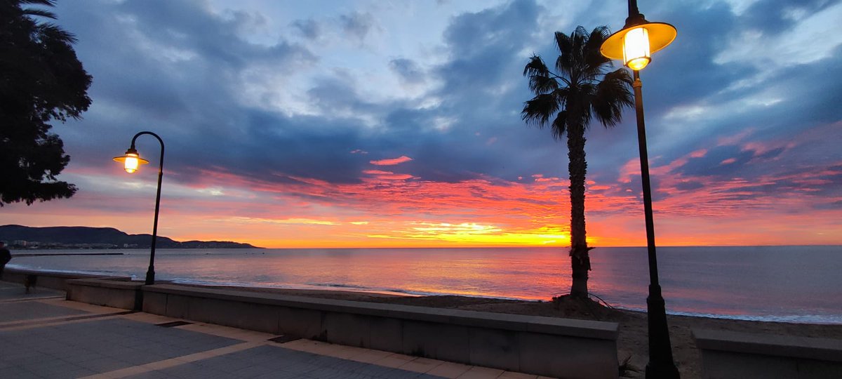 beni_paraiso's tweet photo. Qué privilegio poder ver la magia de la composición de este cuadro en tiempo real. 😍
Buenos días ☀
.
#BenicàssimParaíso
#Amanecer
#TeacercamosaBenicàssim
#Benicàssim
#Soybenilover
#BdeBenicàssim https://t.co/HwEqnndlQt